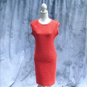 Sharanago Size 10 dress
